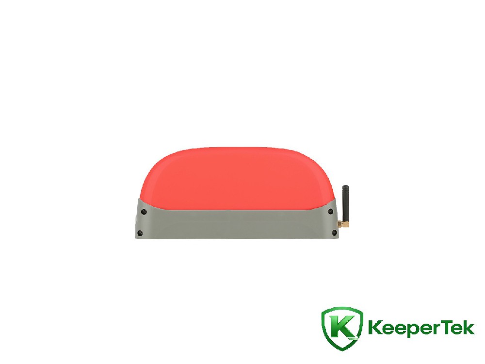 Indicatore di parcheggio wireless KT-WB07